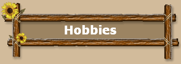 Hobbies